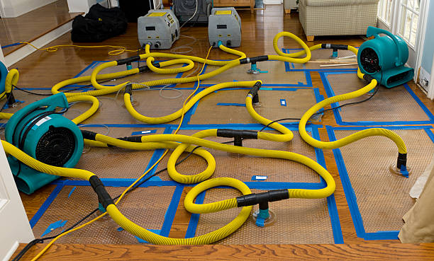 Professional Crawl Space Water Removal technician working in Greenbrae, CA